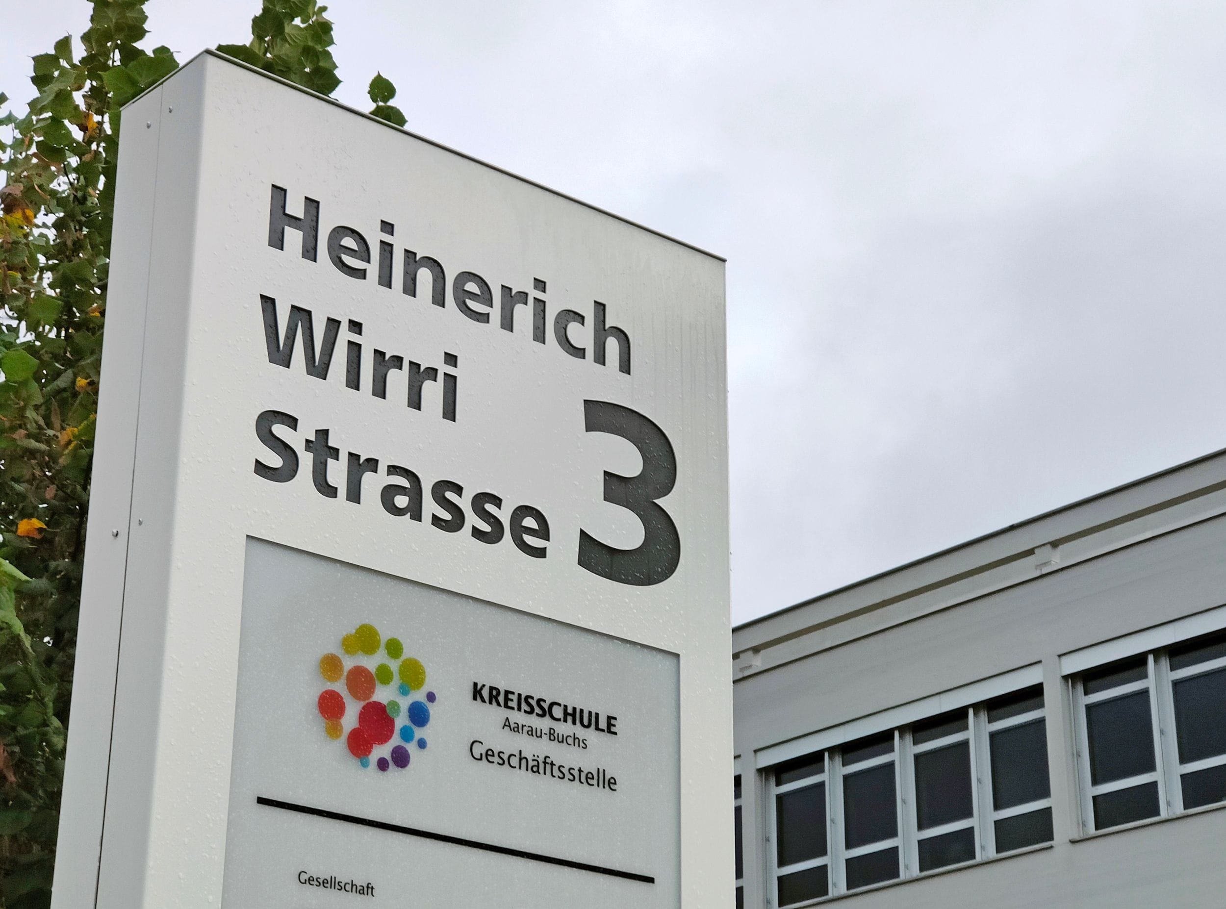 Mehr über den Artikel erfahren Ein Sieg gegen das Establishment